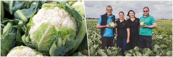 H&P Ashcroft - Cauliflower With over five generations of farming heritage 