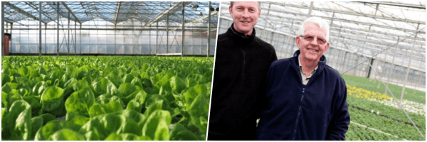 These baby plants are packed with concentrated nutritional compounds