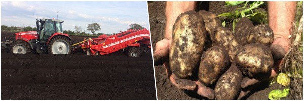 J&D Rimmer and Sons are fourth generation farmers who specialise in growing fine quality potatoes
